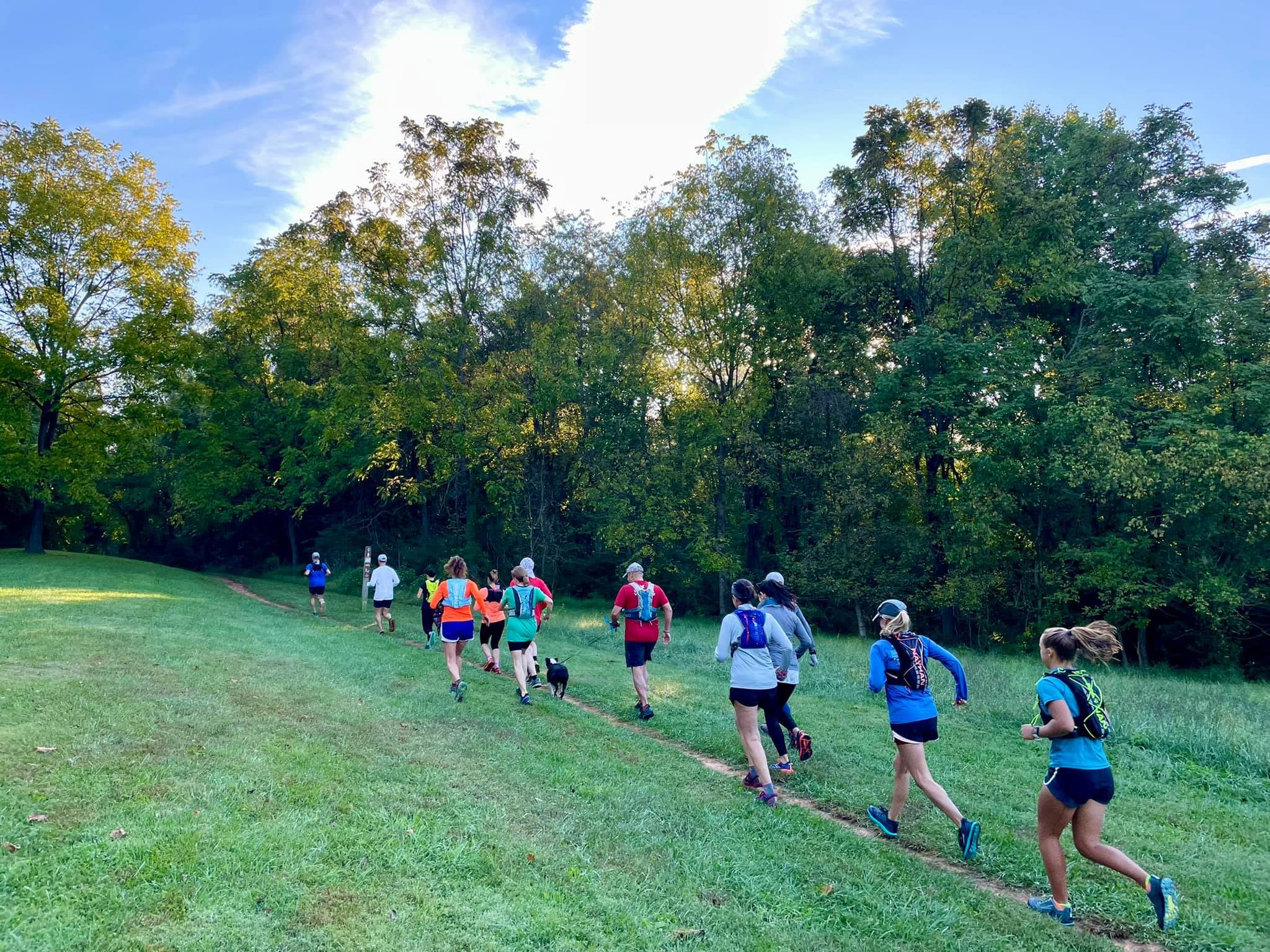 Trail runners running on a trail